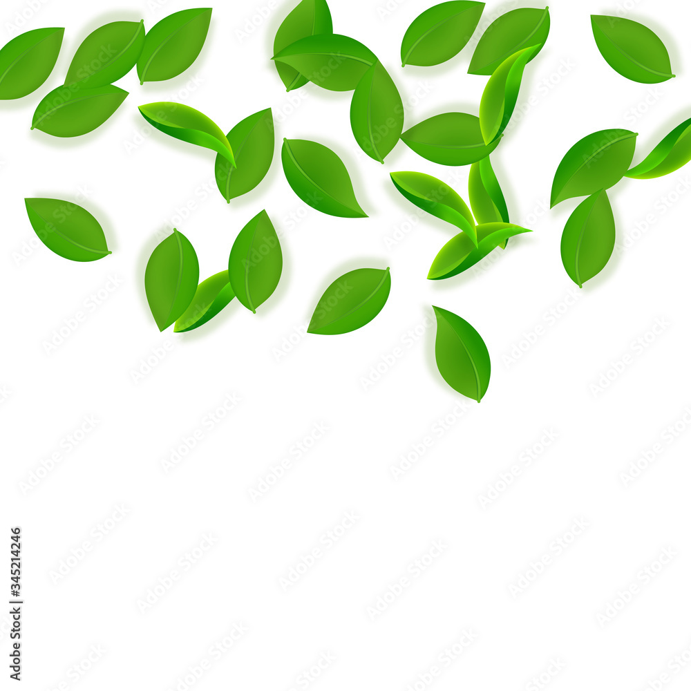 Falling green leaves. Fresh tea neat leaves flying Falling green leaves. Fresh tea neat leaves flying