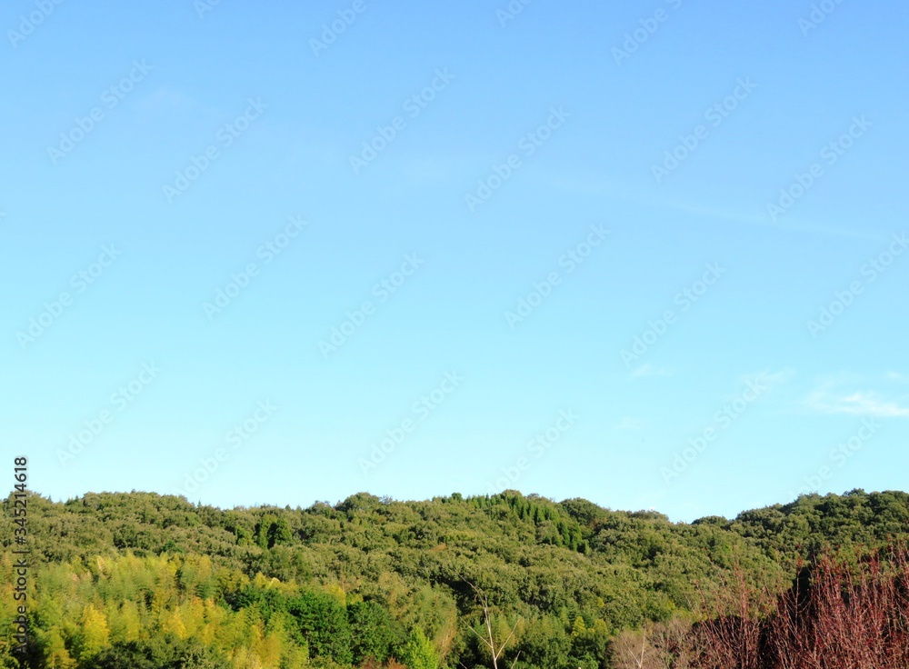 日本の田舎の風景　9月　山の木々と青空