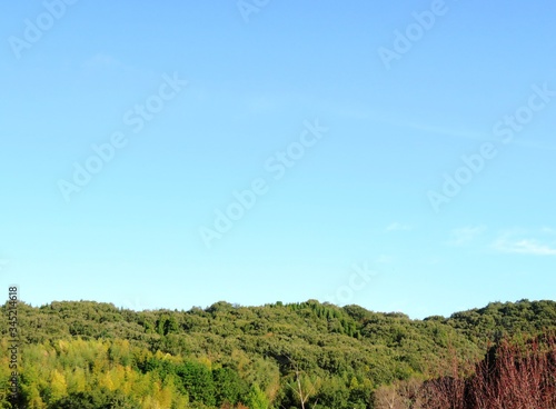 日本の田舎の風景 9月 山の木々と青空