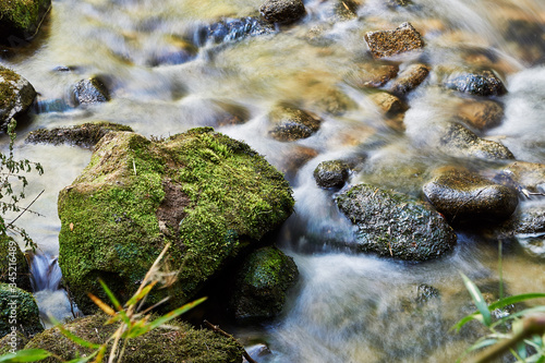 moss on rocks in the stream