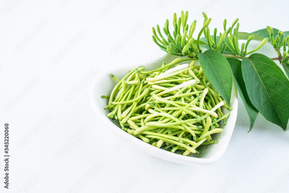 Fresh wild honeysuckle buds on white background Fresh wild honeysuckle buds on white background