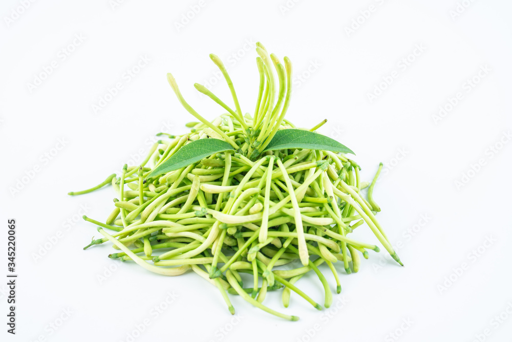 Fresh wild honeysuckle buds on white background Fresh wild honeysuckle buds on white background