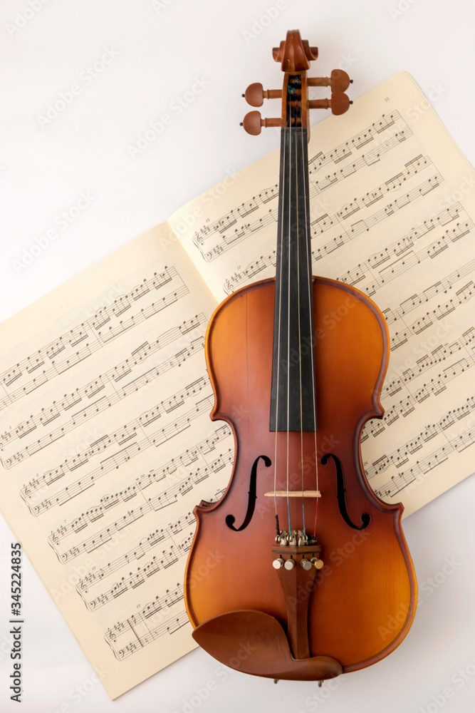 Fototapeta premium Music notes and violin