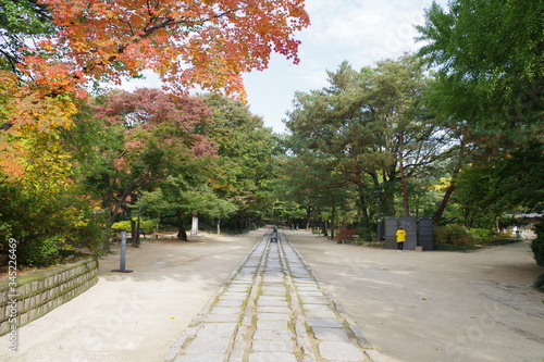 韓国　世界遺産　宗廟 photo