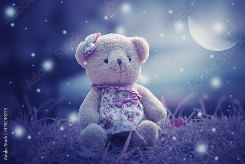 teddy bear on the night