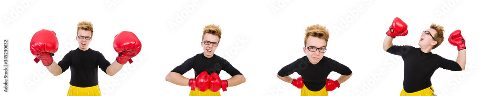 Funny boxer isolated on the white background Funny boxer isolated on the white background