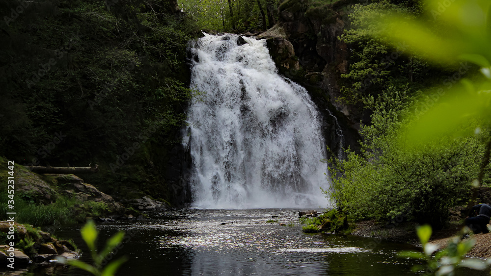 Obraz premium Young's River falls. A waterfall in the Pacific Northwest near Astoria, OR. This site was used in the filming of Teenage Mutant Ninja Turtles 3 and it was described in Lewis & Clark's Journal.