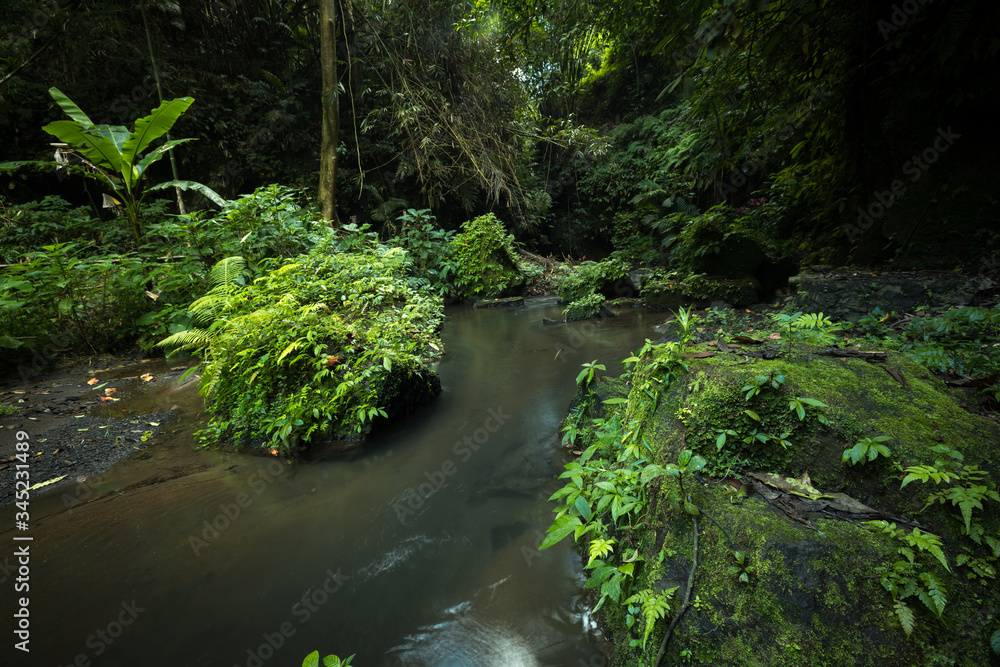 Tropical landscape. River in jungle. Soft focus. Slow shutter speed, motion photography. Bangli, Bali, Indonesia Tropical landscape. River in jungle. Soft focus. Slow shutter speed, motion photography. Bangli, Bali, Indonesia