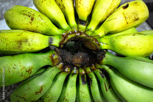 bunch of bananas on green background