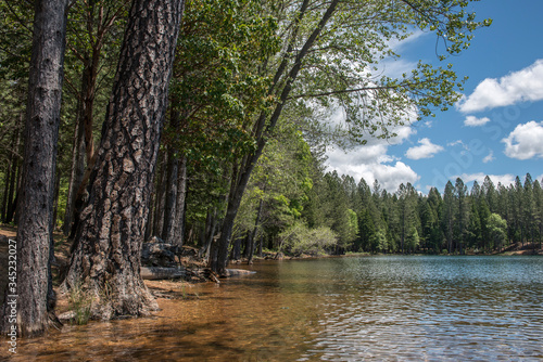 Beautiful peaceful mountain lake with clear water at shoreline blue sky with clouds