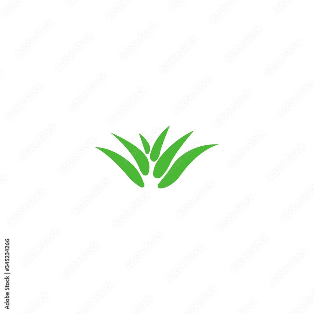 Fototapeta premium aloe vera logo