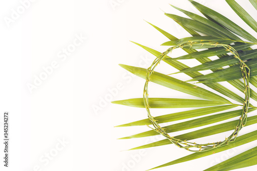 Crown of thorns with palm leaves on white background  Easter concept