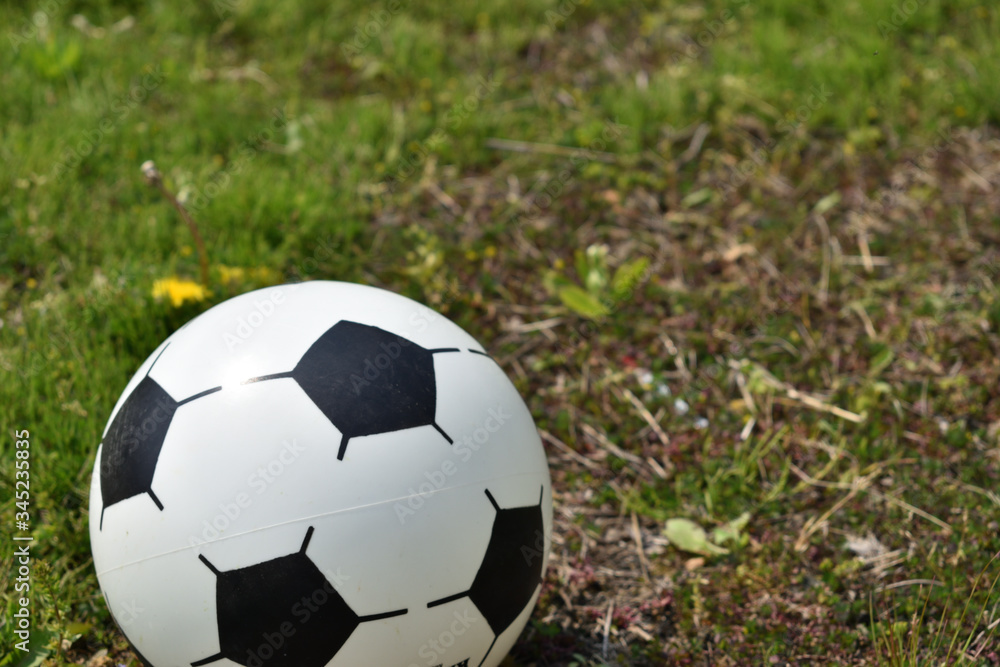 Image of Soccer ball rolling in the park Image of Soccer ball rolling in the park
