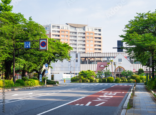 東京　国立市　大学通り