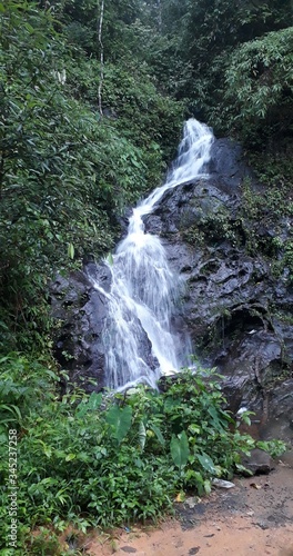 small waterfall in the forest