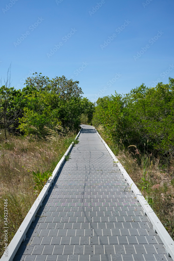 The plastic board walk at East Point Nature Reserve in Darwin, Northern Territory, Australia.