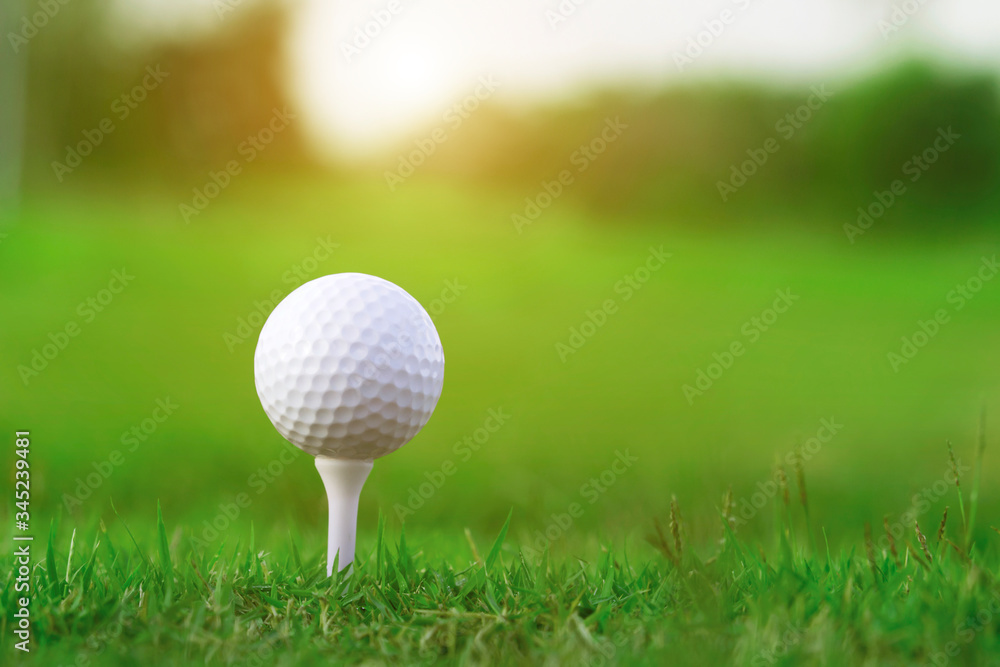 golf ball on tee in a beautiful golf course with morning sunshine golf ball on tee in a beautiful golf course with morning sunshine