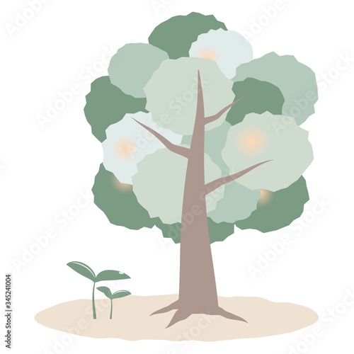 木と芽の成長のイメージ