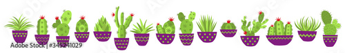 Botanical vector illustration of home plants succulents and cacti flat style. Big set for background, packaging paper, stickers