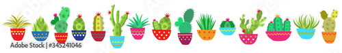 Botanical vector illustration of home plants succulents and cacti flat style. Big set for background, packaging paper, stickers