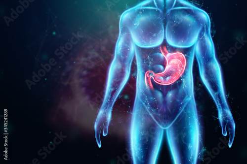 Hologram of the stomach, endoscopy procedure. Digestive tract and stomach disease concept. 3D rendering, 3D illustration.