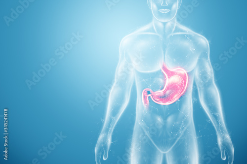 Schilderij op canvas Hologram of the stomach, endoscopy procedure