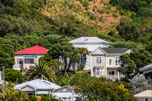 Houses on the mountain in Wellington, New Zealand. © Natalia