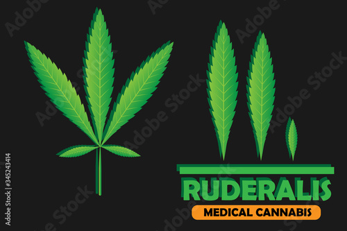 Green leaf of Cannabis Ruderalis. Vector illustration of medical marijuana. Simple form, for graphic design of logo, emblem, sign, badge, label, isolated on orange background.