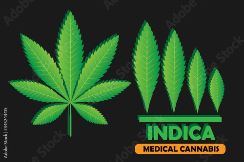 Green leaf of Cannabis Indica. Vector illustration of medical marijuana. Simple form, for graphic design of logo, emblem, sign, badge, label, isolated on orange background.