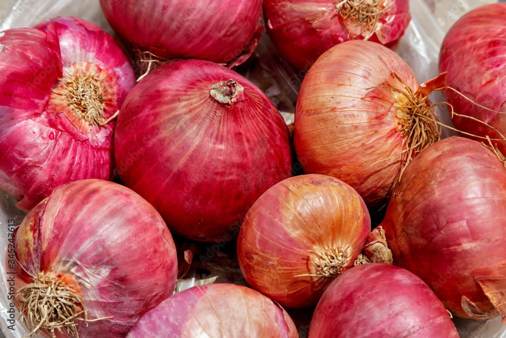 Many harvested unpeeled red onions in a pile Many harvested unpeeled red onions in a pile