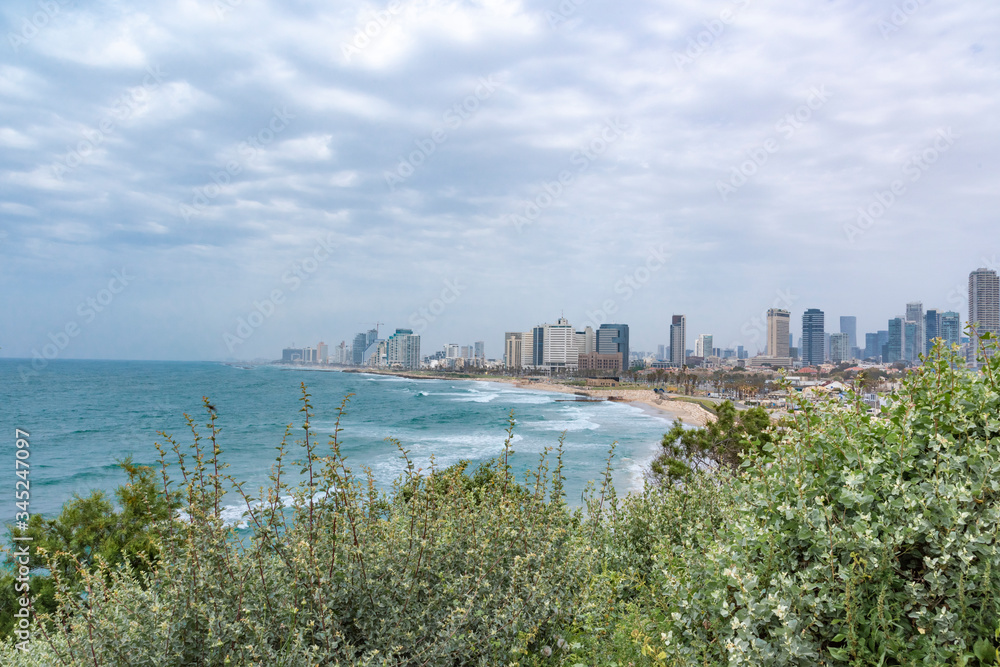 A view of the Tel Aviv coastal strip. Urban landscape. Buildings near the Mediterranean. Sky covered with clouds. A clear blue sea with waves and white foam. A cloudy day with fog. Green bushes