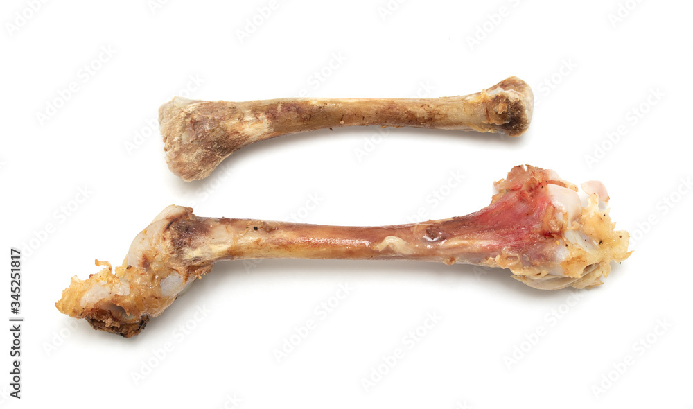 Chicken bone isolated on a white background. Chicken bone isolated on a white background.