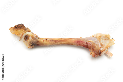 Chicken bone isolated on a white background.