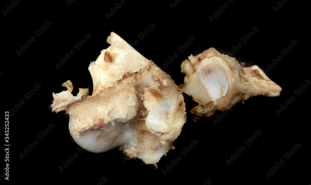 Bare white bone, beef, on a black background. Bare white bone, beef, on a black background.