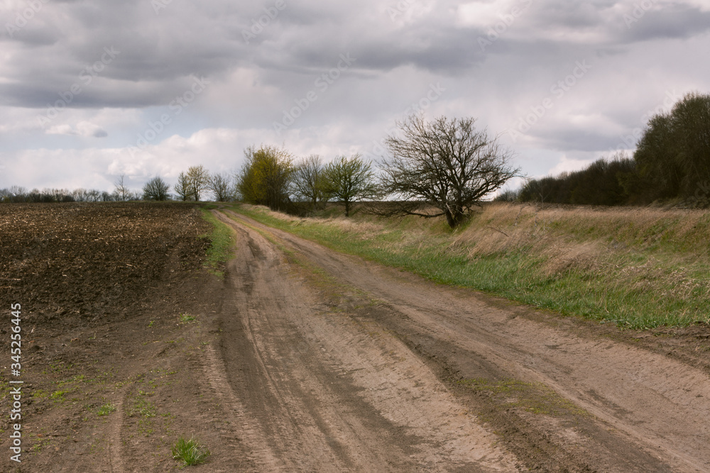 road through an empty field under the clouds