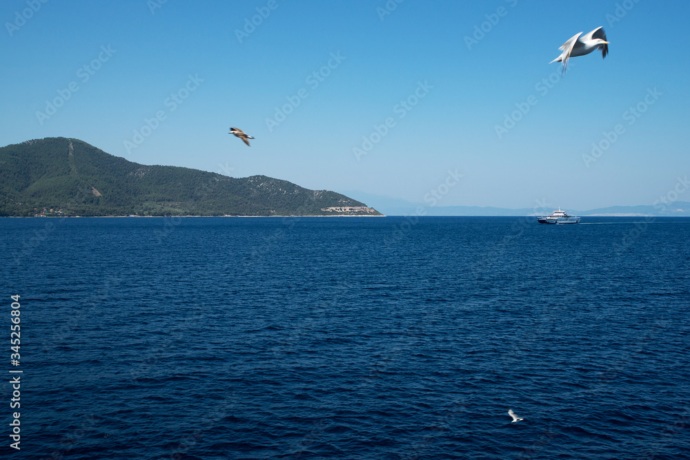 Aegean sea coast in Greece, thassos island Aegean sea coast in Greece, thassos island