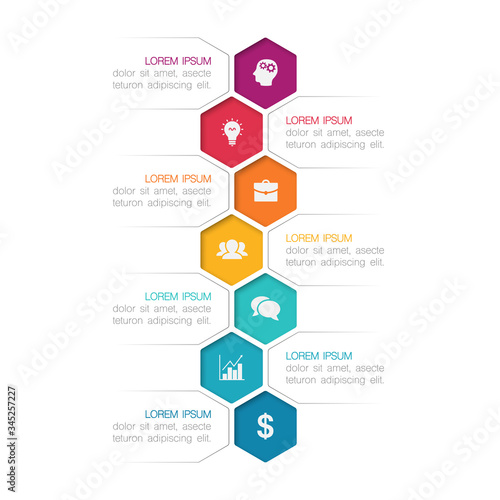 Vector iInfographic template for business, presentations, web design, 7 options.