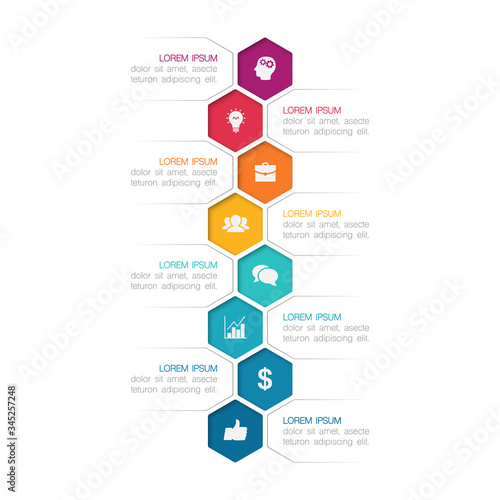 Vector iInfographic template for business, presentations, web design, 8 options.