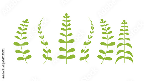botanical floral set green plants branches with leaves realistic herbs collection horizontal vector illustration