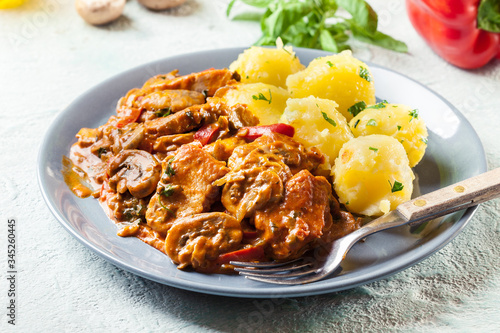 Fresh turkey ragout with mushrooms photo