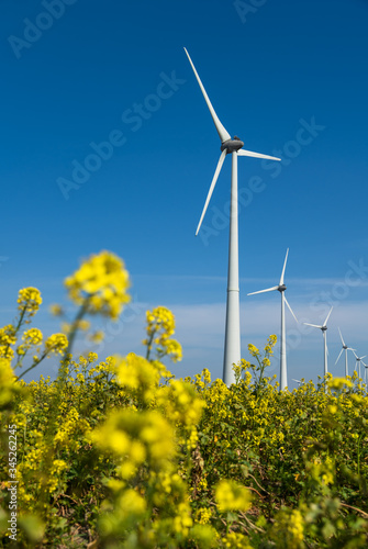 Modern wind turbines producing clean, sustainable energy in a filed of rapeseed.