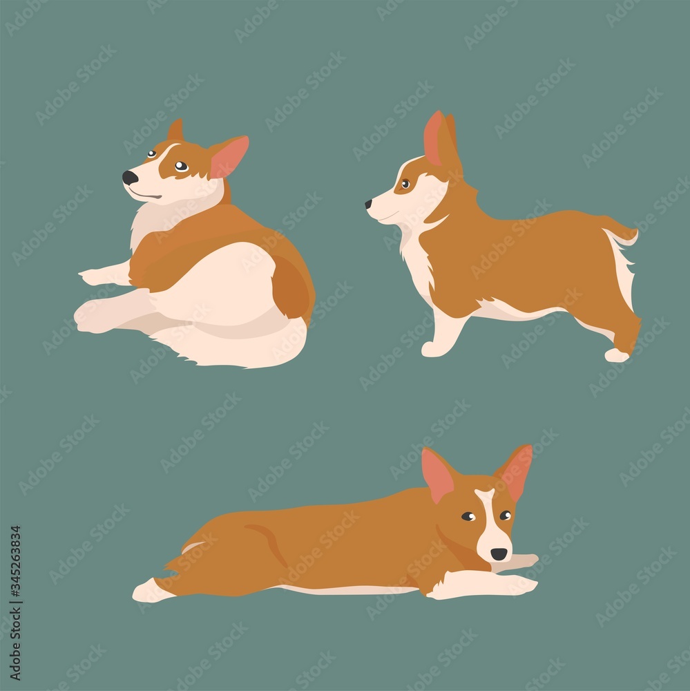 Set Happy dog Welsh Corgi. The style flat. Set Happy dog Welsh Corgi. The style flat.