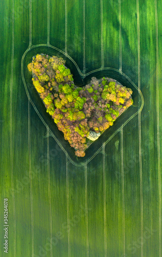 Aerial shot of forest heart in the fields