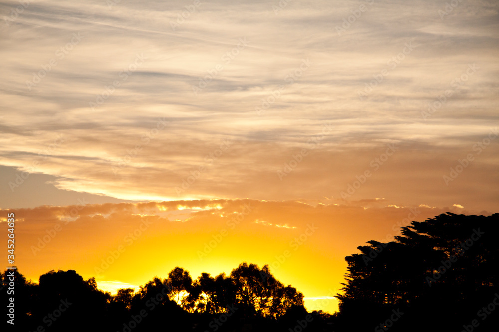 sunset in the bush