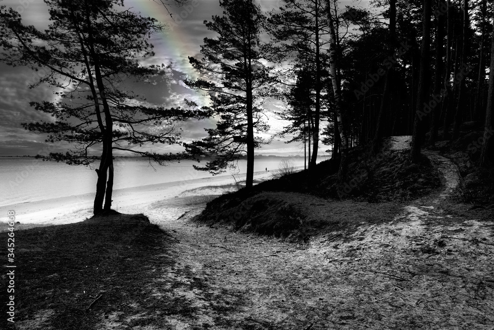 Fototapeta premium Rainbow