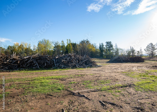 Large pile of woody material from land clearing of surrounding bush and trees  photo