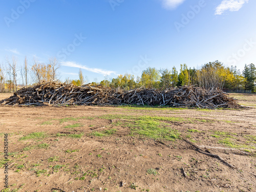 Obraz na plátně Large pile of woody material from land clearing of surrounding bush and trees