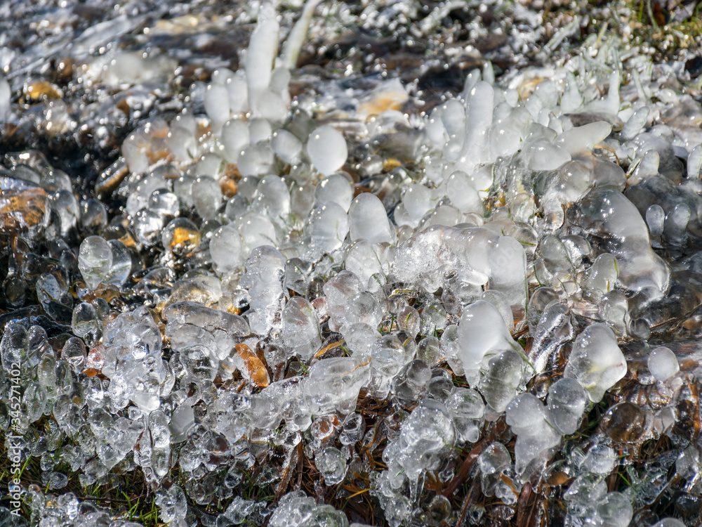 abstract picture with ice cubes embracing grass and tree roots abstract picture with ice cubes embracing grass and tree roots