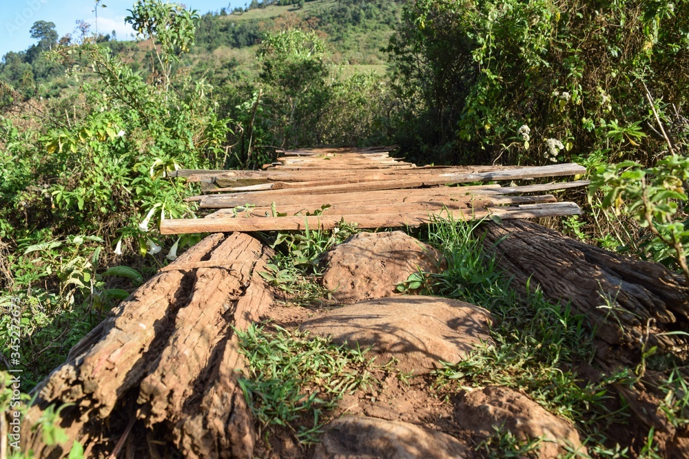 A wooden foothpath in the wild forest jungles of rural Kenya, Aberdare Ranges, A wooden foothpath in the wild forest jungles of rural Kenya, Aberdare Ranges,