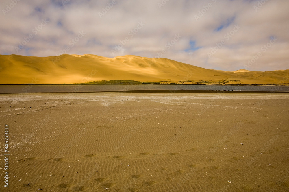 sand dunes at ocean
